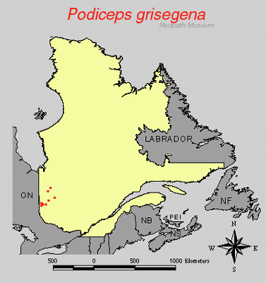 distribution map.gif