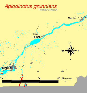 distribution map.gif