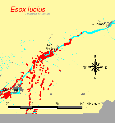 distribution map.gif