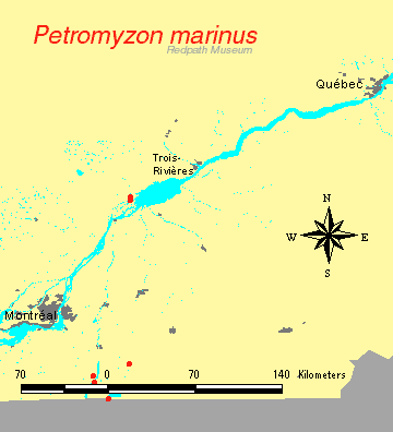 distribution map.gif