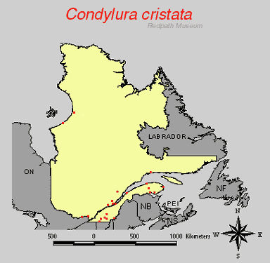 distribution map.gif