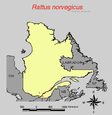 distribution map.gif