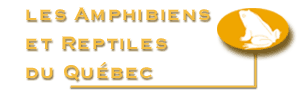 amphibiens et reptiles